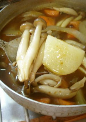 最端の森のカレー-レシピのメイン写真