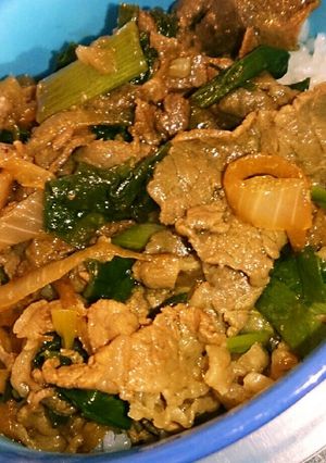 ネギたっぷり牛丼-レシピのメイン写真