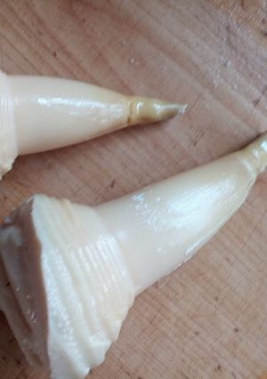 【母直伝】　たけのこの茹で方-レシピのメイン写真