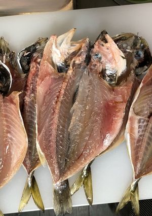 冷蔵庫で簡単干物作り(アジの開き)-レシピのメイン写真