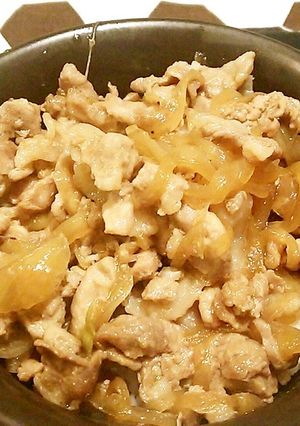 豚丼-レシピのメイン写真