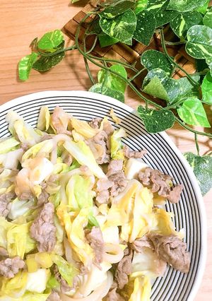 簡単春キャベツと豚肉の創味シャンタン炒め-レシピのメイン写真
