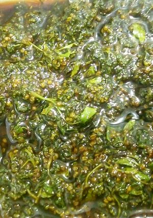 山椒の花の佃煮-レシピのメイン写真