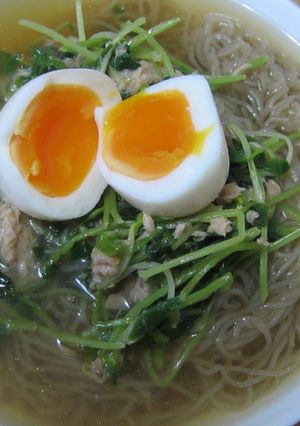 半熟卵でぷるる冷麺-レシピのメイン写真