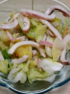 春キャベツとイカの浅漬け-レシピのメイン写真