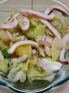 春キャベツとイカの浅漬け-レシピのメイン写真