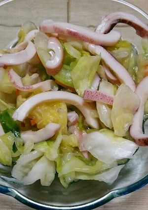 春キャベツとイカの浅漬け-レシピのメイン写真
