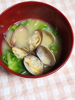 春キャベツと浅利のお味噌汁-レシピのメイン写真