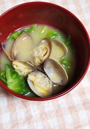 春キャベツと浅利のお味噌汁-レシピのメイン写真