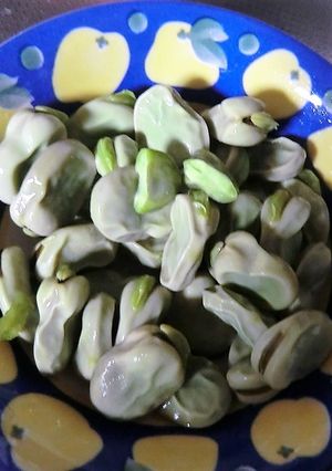 レンジ蒸しそら豆の、塩糀漬け-レシピのメイン写真
