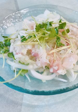 簡単！新玉ねぎと鯛のカルパッチョ-レシピのメイン写真