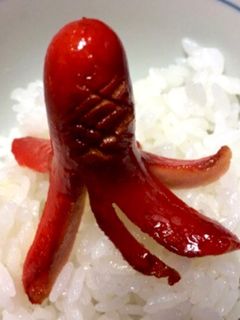 タコさんウインナー 贅沢版-レシピのメイン写真