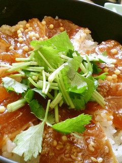 *☆漬け丼☆*-レシピのメイン写真