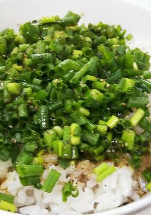 ネギ大量消費☆家系！？俺のねぎめし-レシピのメイン写真