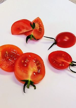 ♥キュンキュントマト♥-レシピのメイン写真