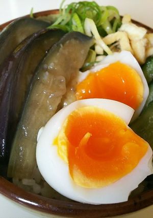 田舎煮からの簡単丼！-レシピのメイン写真
