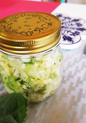 酢キャベツでデブ菌退治✳春キャベツ☆菌活-レシピのメイン写真