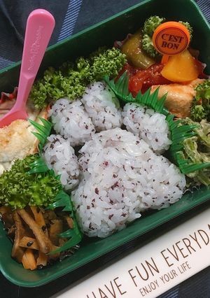 もっちゅり肉球弁当-レシピのメイン写真