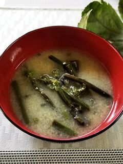ワラビのお味噌汁-レシピのメイン写真