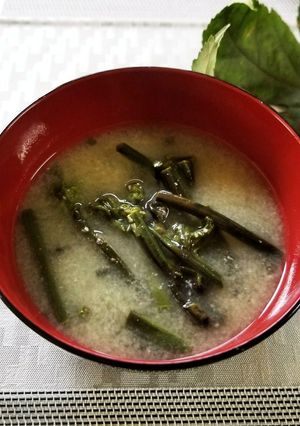 ワラビのお味噌汁-レシピのメイン写真