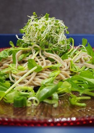 豆苗たっぷりそばサラダ-レシピのメイン写真