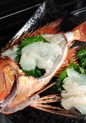 チカメキントキ姿造り-レシピのメイン写真