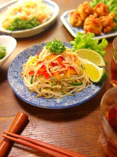 エスニック風♪野菜とささみのもやしサラダ-レシピのメイン写真