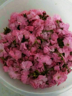 色んな料理に使える!桜の花漬け❀✿-レシピのメイン写真