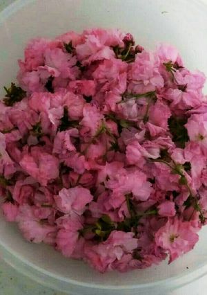色んな料理に使える！桜の花漬け❀✿-レシピのメイン写真