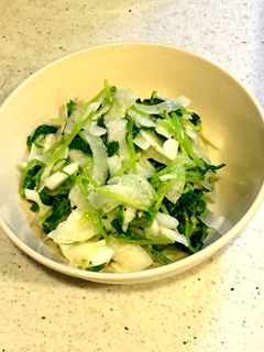 新玉ねぎと豆苗のサラダ-レシピのメイン写真
