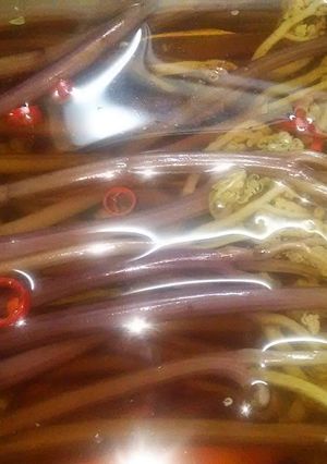 春の味 わらびの一本漬け-レシピのメイン写真