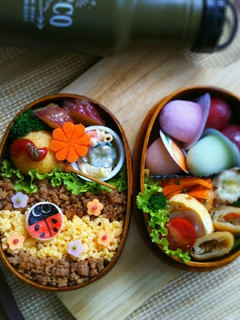 キャラ弁 てんとう虫と2色そぼろの春弁当-レシピのメイン写真