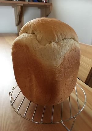 HB 早焼しっとりハニーミルク生食パン-レシピのメイン写真