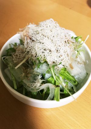 大根と水菜のサラダ-レシピのメイン写真