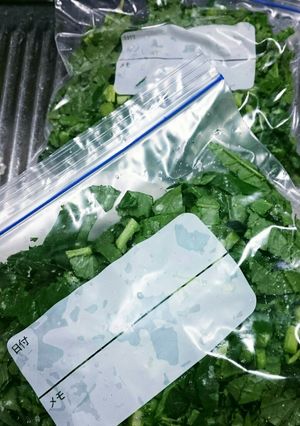 簡単に大根葉を保存する方法♪-レシピのメイン写真