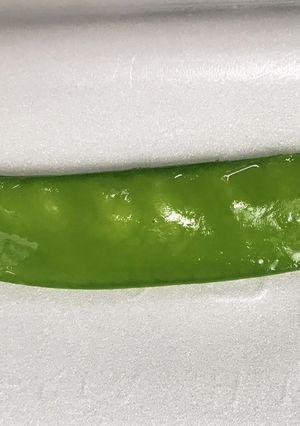 絹さやの飾り切り♪♪-レシピのメイン写真