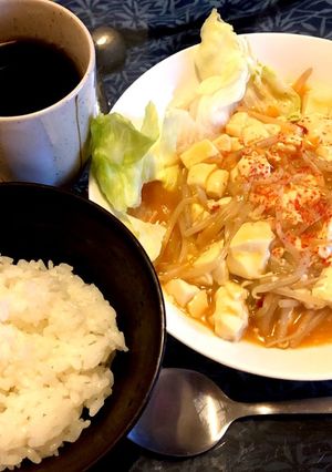 節約 もやし麻婆豆腐-レシピのメイン写真