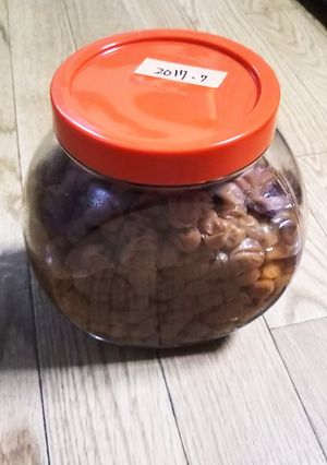 簡単な小梅干し-レシピのメイン写真