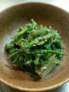 たらの芽のゴマ和え-レシピのメイン写真