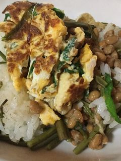 納豆とキャラブキのまぜご飯-レシピのメイン写真