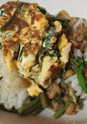 納豆とキャラブキのまぜご飯-レシピのメイン写真