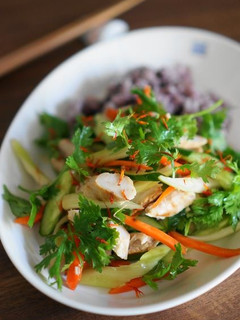 ぬか漬け鶏ささみと野菜のパクチー和え-レシピのメイン写真