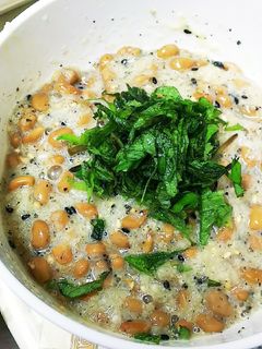 大葉胡麻おろし納豆-レシピのメイン写真