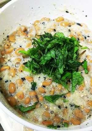 大葉胡麻おろし納豆-レシピのメイン写真