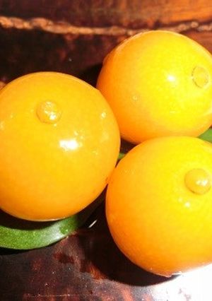 やさしい甘さの金柑の甘露煮-レシピのメイン写真