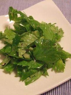 新鮮なセロリの葉で箸休め♪-レシピのメイン写真