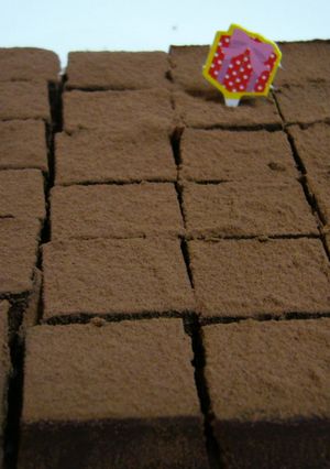 とろける生チョコ-レシピのメイン写真