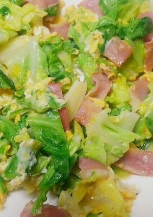 キャベツのシンプル炒め-レシピのメイン写真
