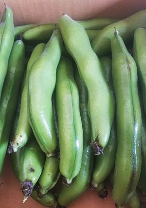 そら豆 トースター-レシピのメイン写真