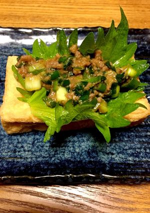 厚揚げの肉味噌乗せ-レシピのメイン写真